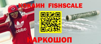 МДПВ Камышлов