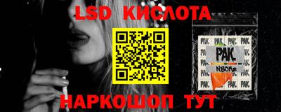 шишки Кандалакша