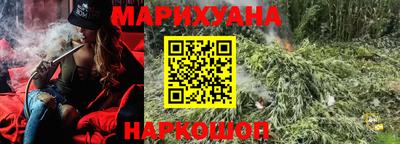 шишки Кандалакша