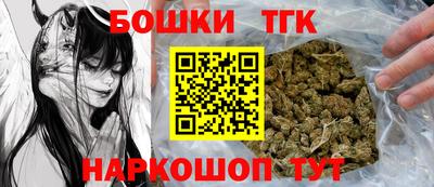 МДПВ Камышлов