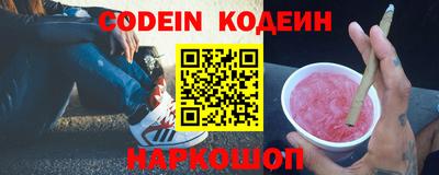 МДПВ Камышлов
