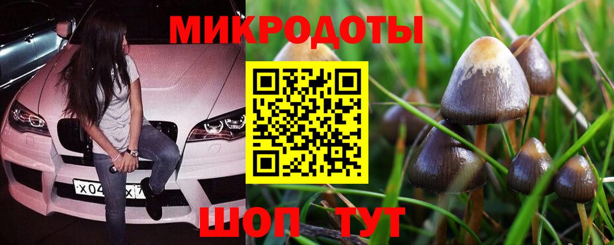 Псилоцибиновые грибы MAGIC MUSHROOMS Череповец